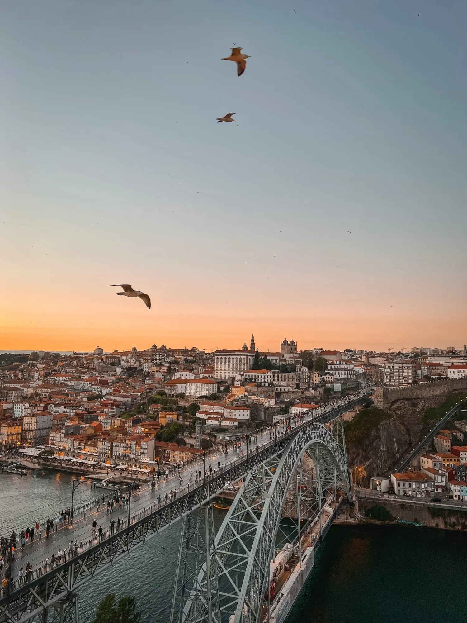 Ponte Don Luis I