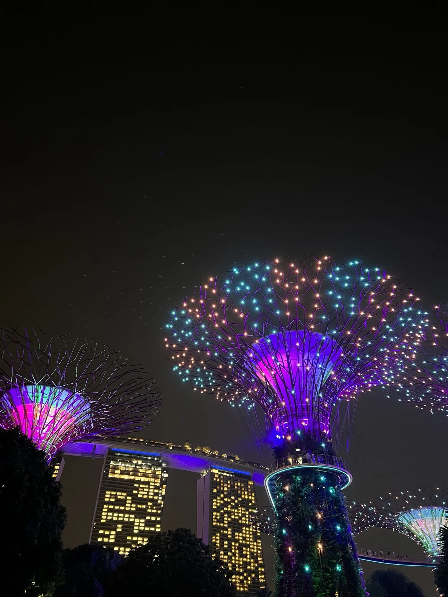 Gardens by the bay
